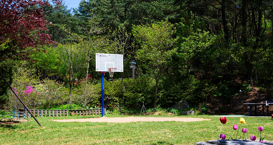 Sports2