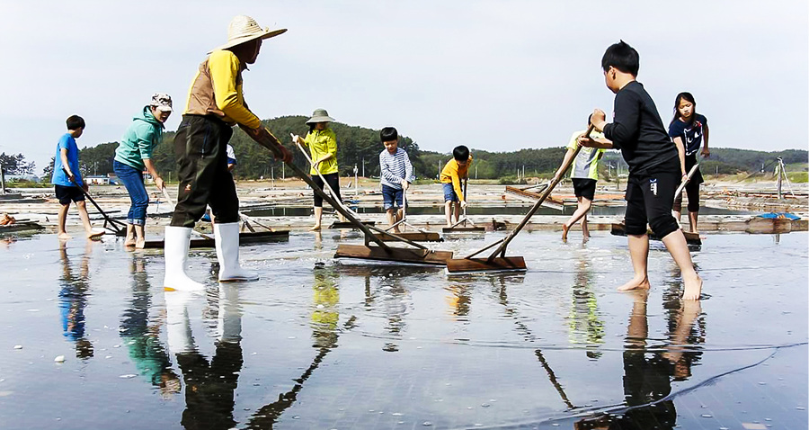 Salt Pond
