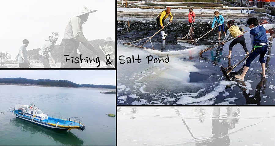 Boat Fishing